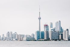 Toronto by Scott Webb