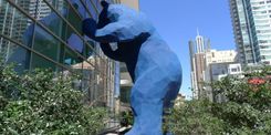 Big_Blue_Bear_Main_Denver_CO-e1572109537501-1600x800.jpg