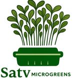 WhatsApp Image 2026-02-12 at 9.30.22 AM.jpeg