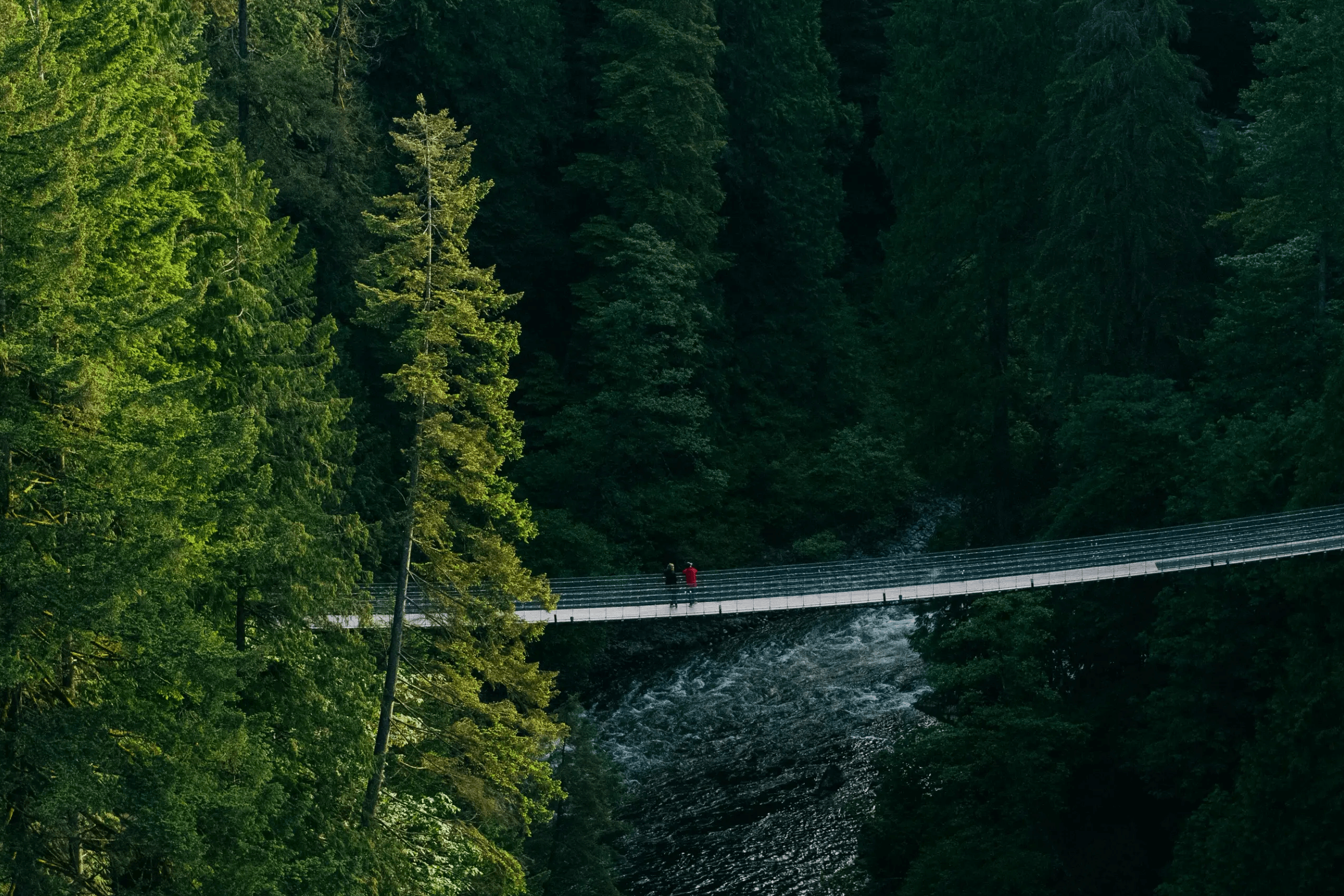 CapilanoSuspensionBridge.png