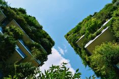 Bosco Verticale, Milan, Italy