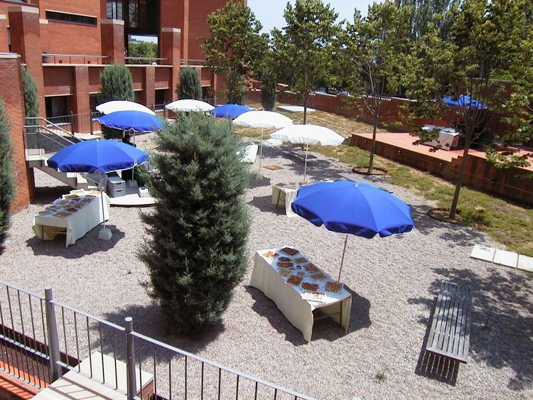 UPC garden.jpg