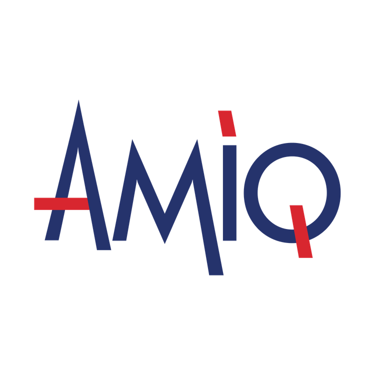 AMIQLogoTransparent (1).png