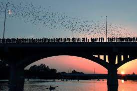 Congress Avenue Bridge.jfif