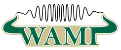 WAMI_Pic (1).png