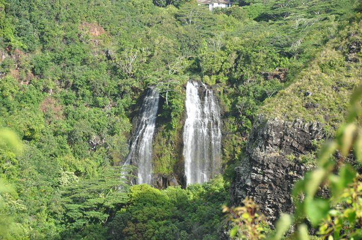 opeakaa-falls-kauai.jpg