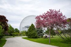 Montreal in the Spring
