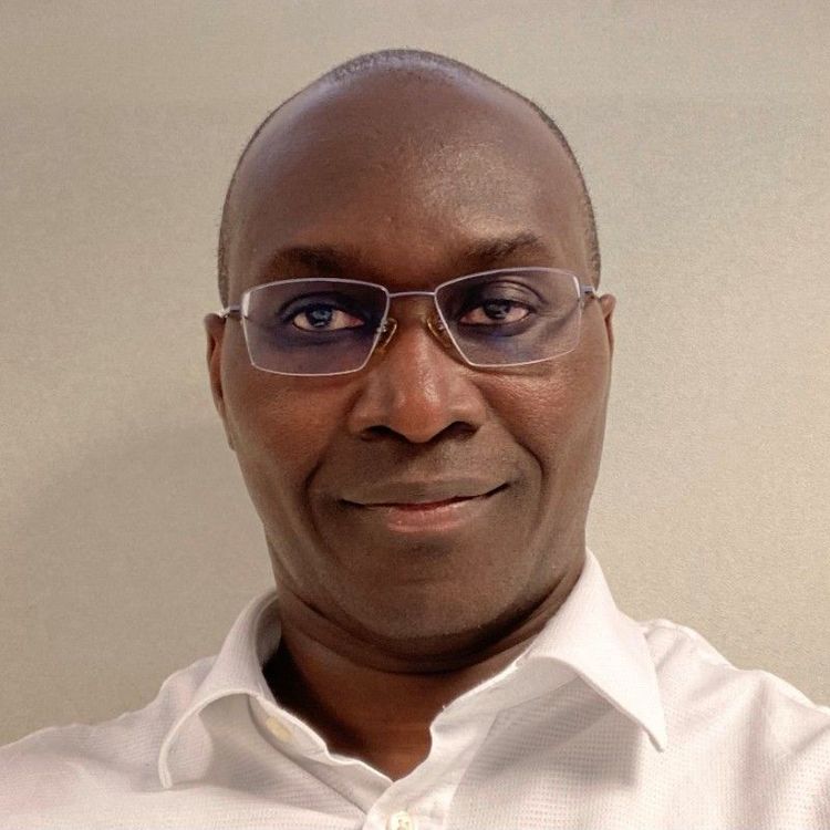 Olujide Aderinan.jpg