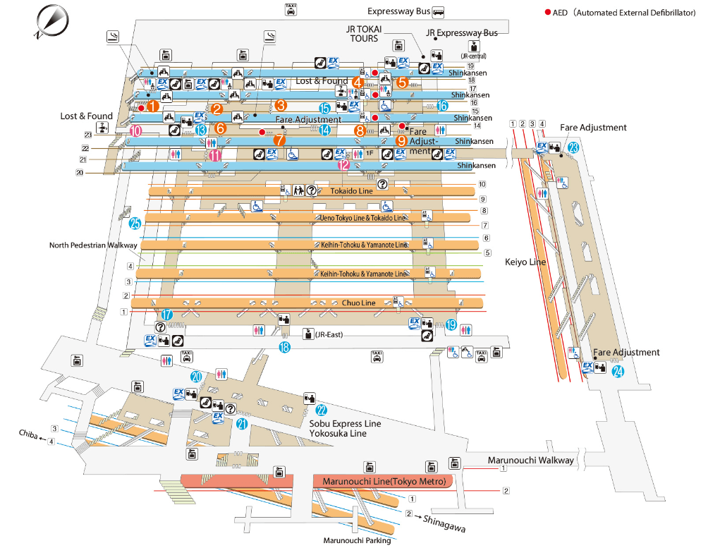 Tokyo Station Platforms.PNG