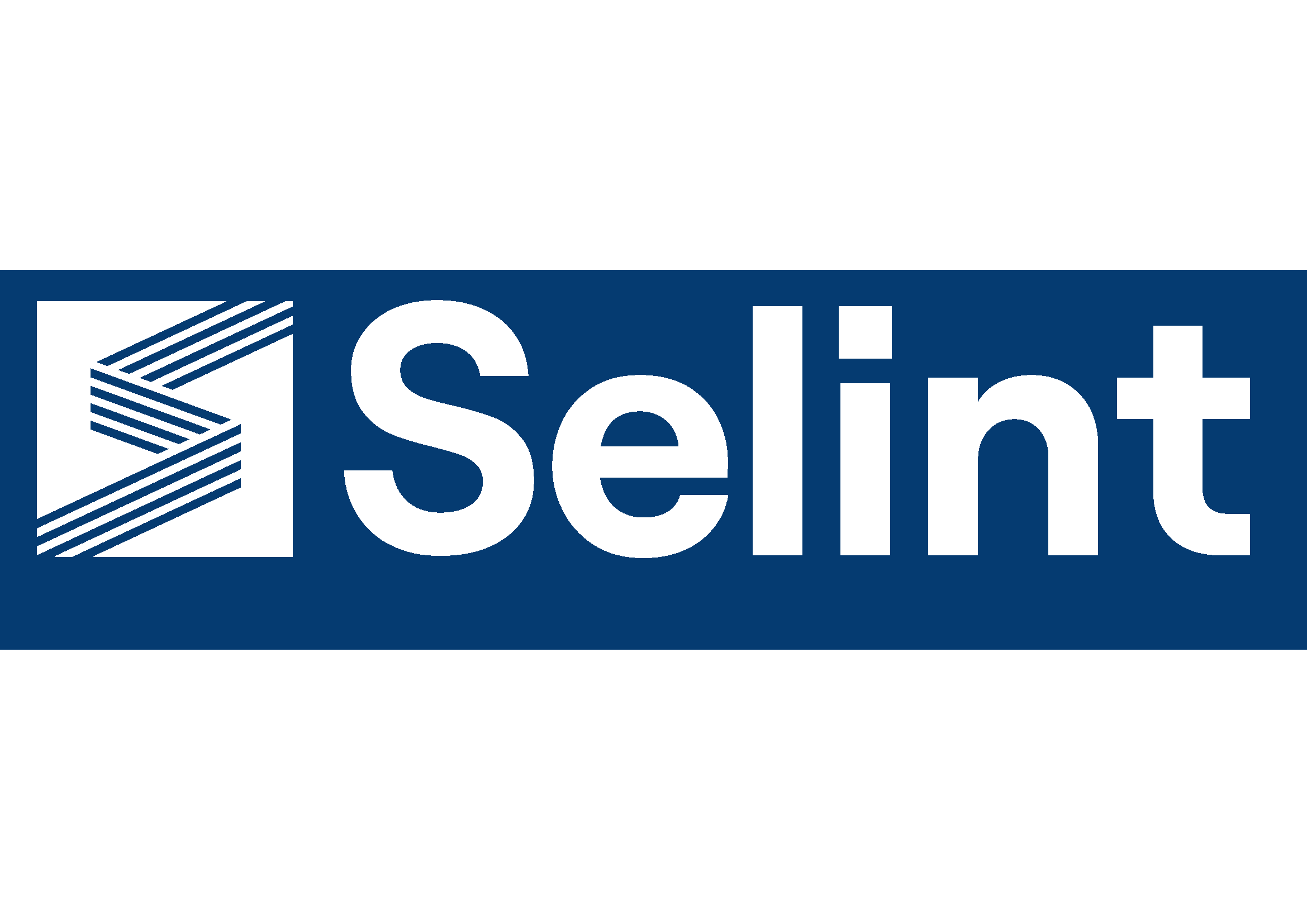 Selint.png