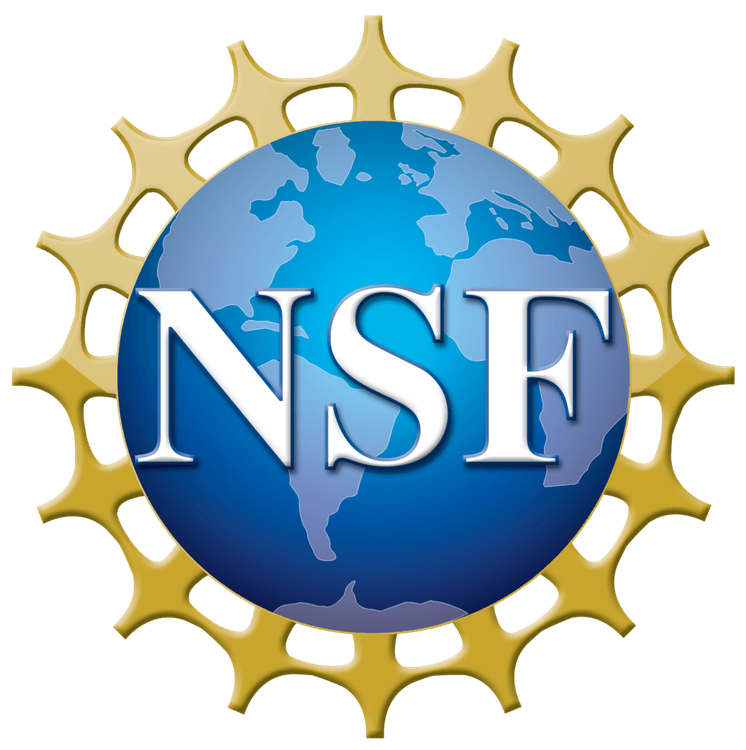 NSF.png