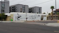 Phoenix_RoRo_Mural3.jpg