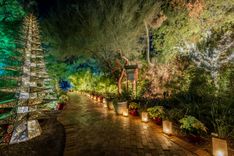 TusconBotanicalGardensNight.jpg