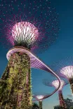 Garden Rhapsody in Singapore