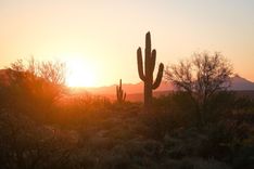 Phoenix, Arizona.jpeg