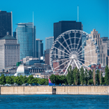 Untitled design - 2023-02-28T122638.318.png