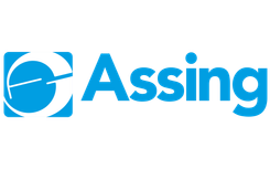 ASSING_base color.png